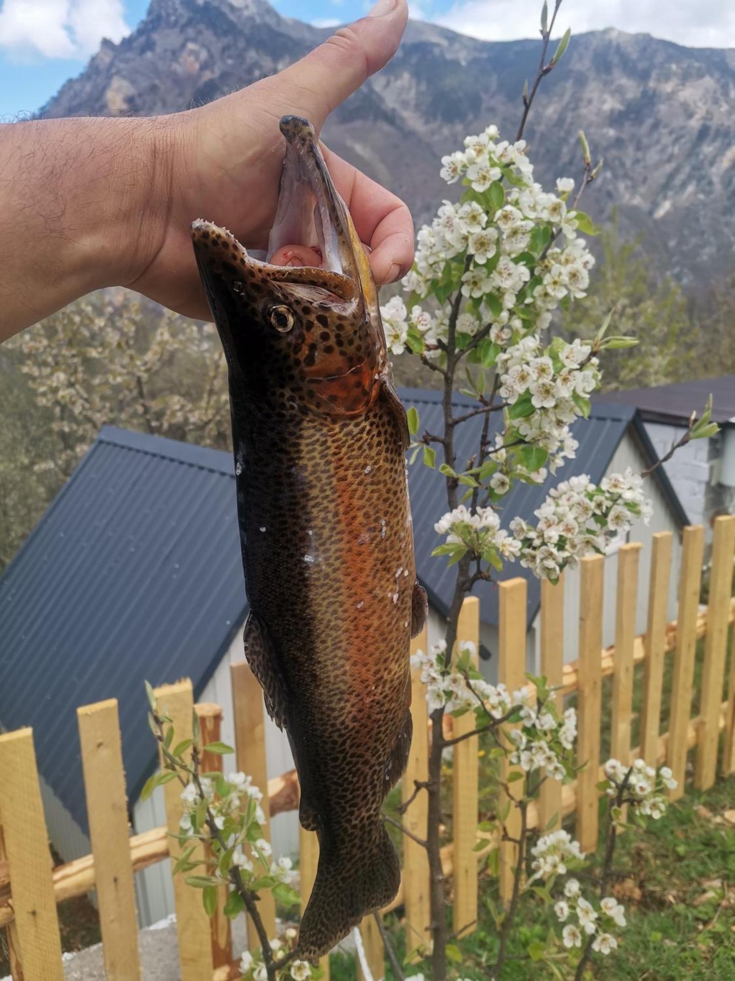 Ethno Cottage Momo Tepca جابلياك الغرفة الصورة